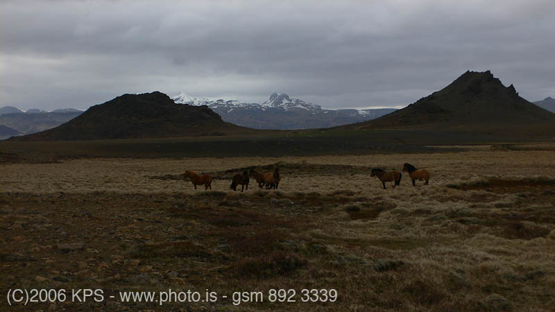 kps05060742