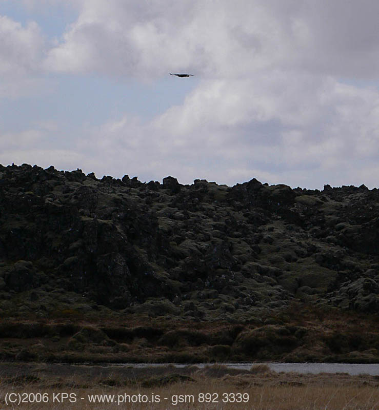 kps05060809