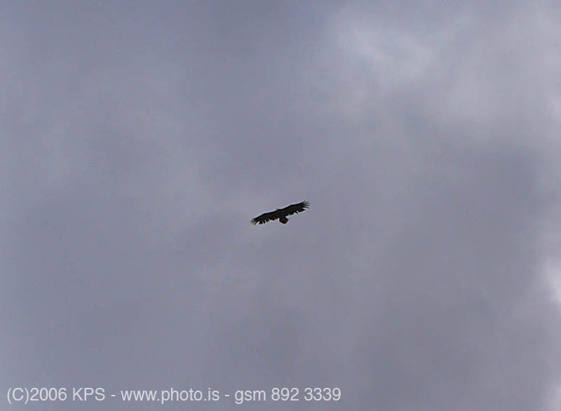 kps05060815