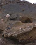 kps05060706