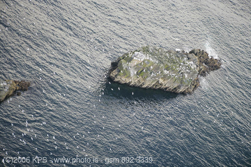 kps05061121