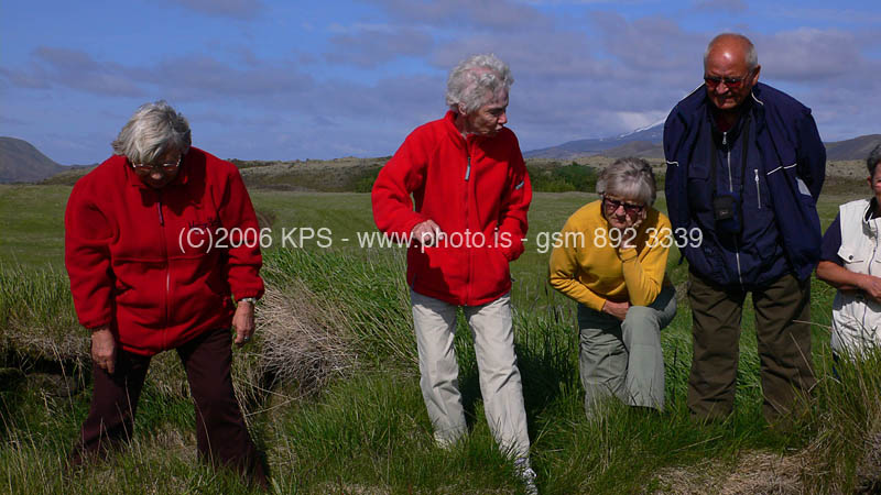 kps07060060