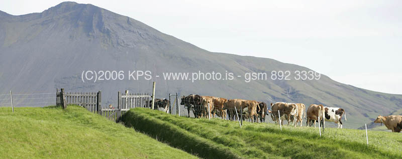 kps07060075