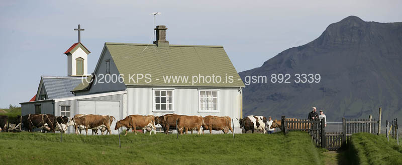 kps07060079