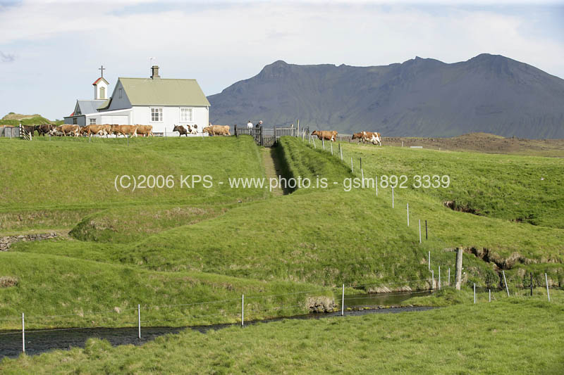 kps07060081