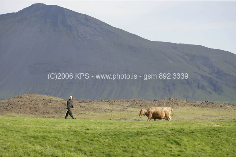 kps07060084