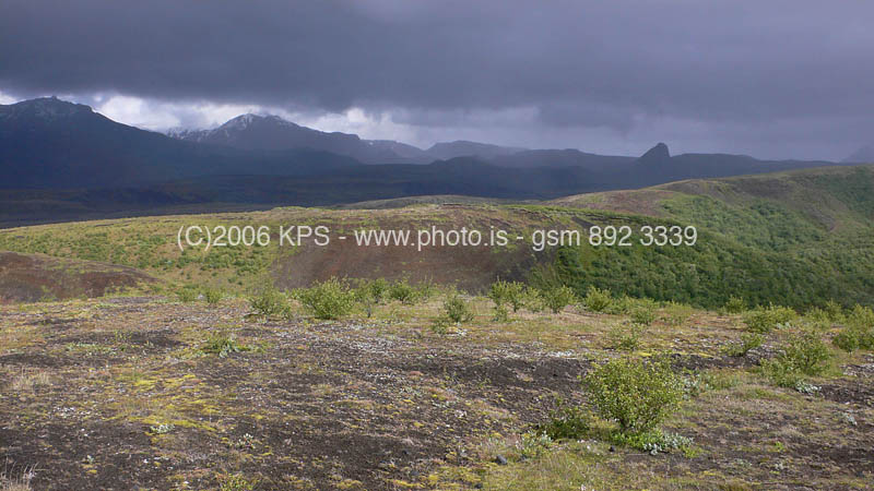kps07060098