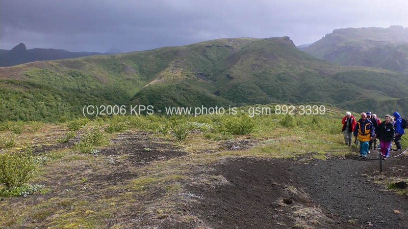 kps07060099