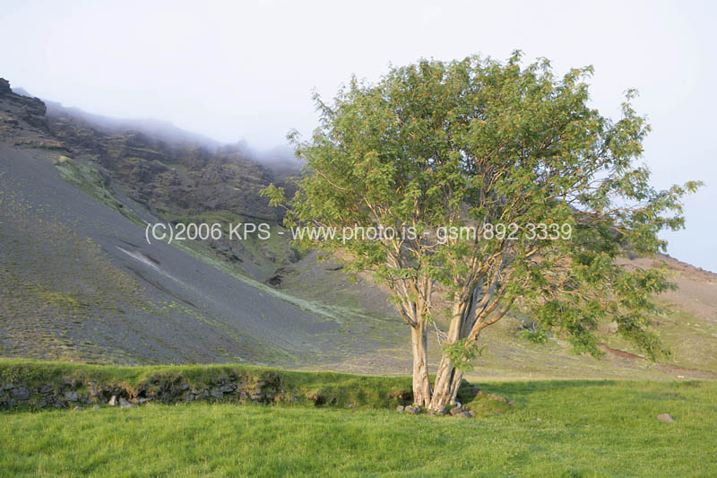 kps07060309