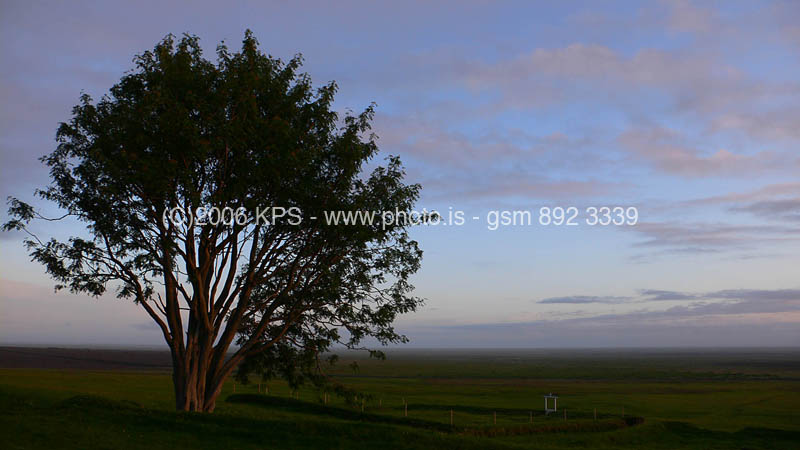 kps07060316