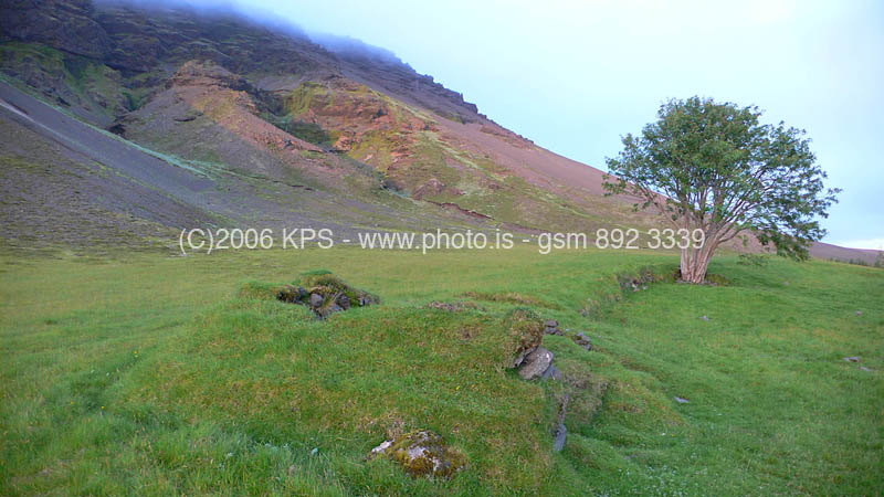 kps07060317