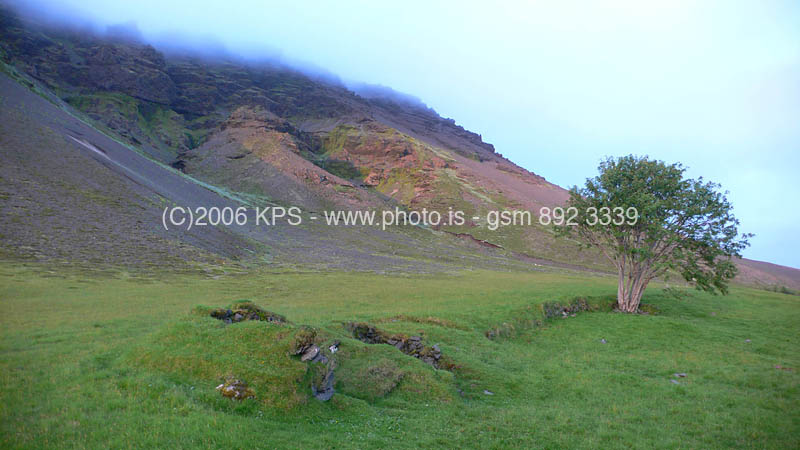 kps07060318