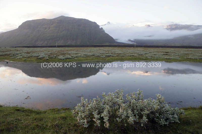kps07060321