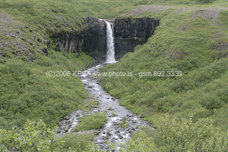 kps07060332