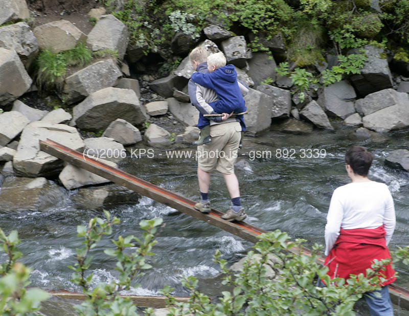 kps07060333