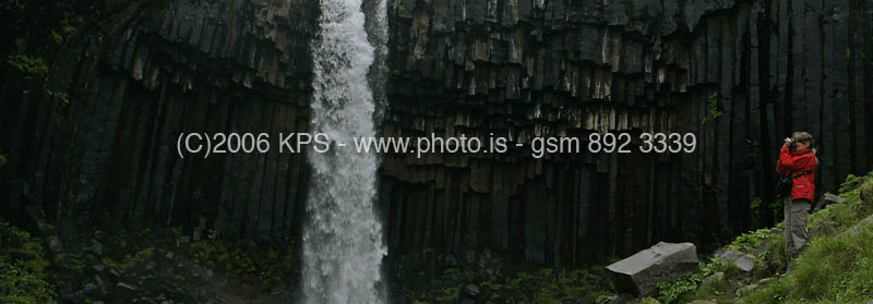 kps07060336