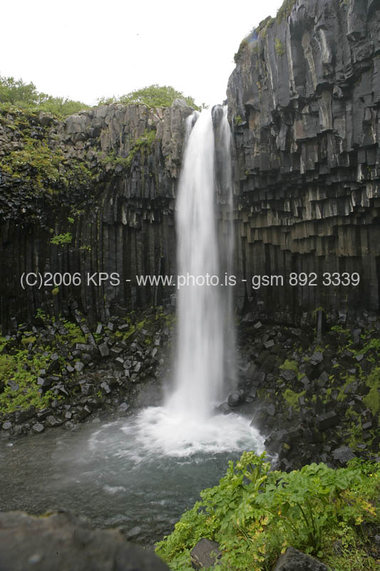 kps07060341