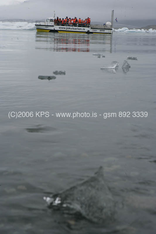 kps07060366