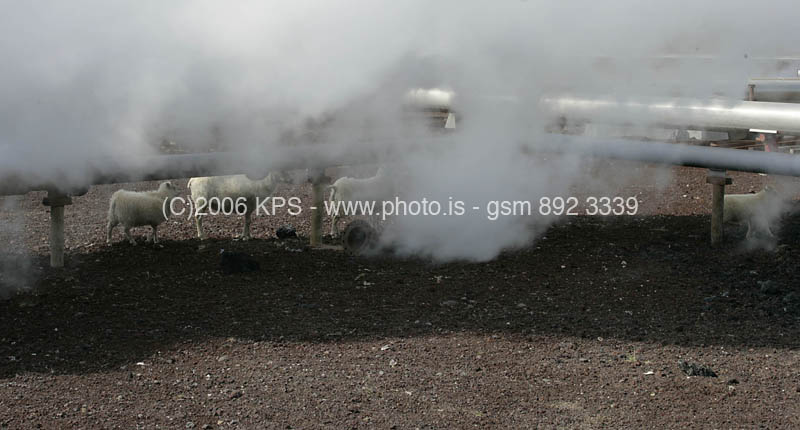 kps07060691