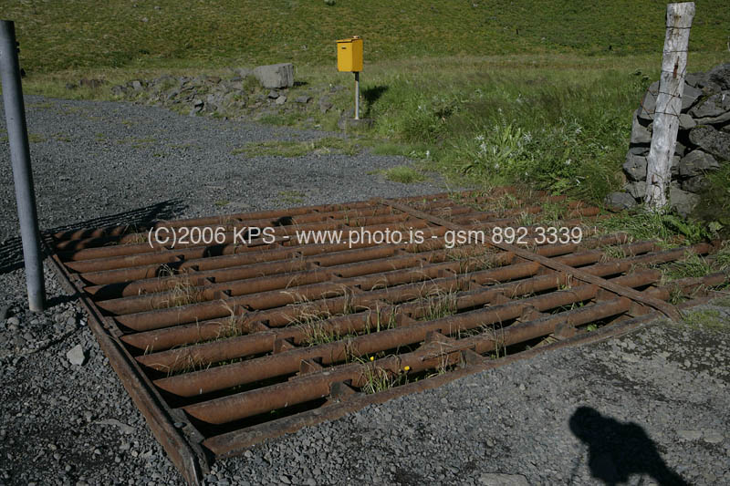 kps08060289
