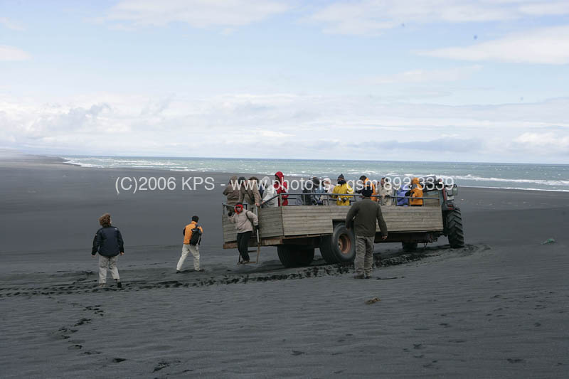 kps08060362