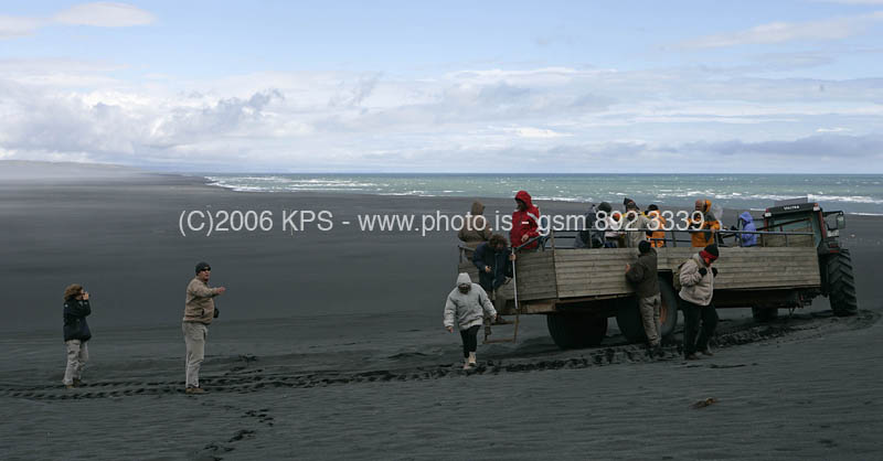 kps08060363