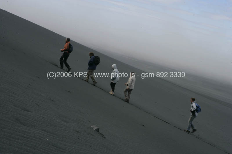 kps08060371