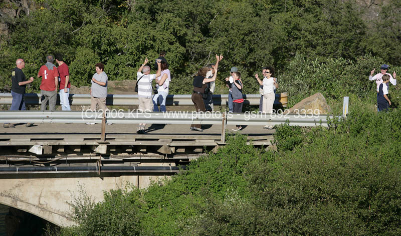 kps08060834