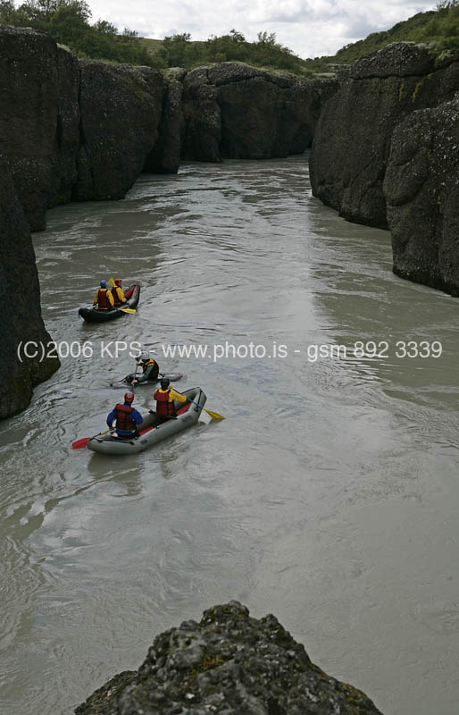 kps08061260