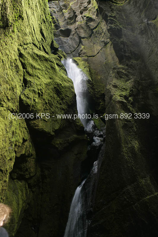 kps08061550