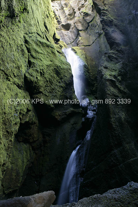 kps08061561