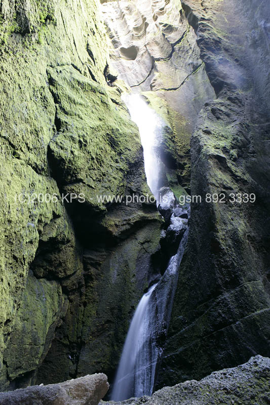 kps08061562