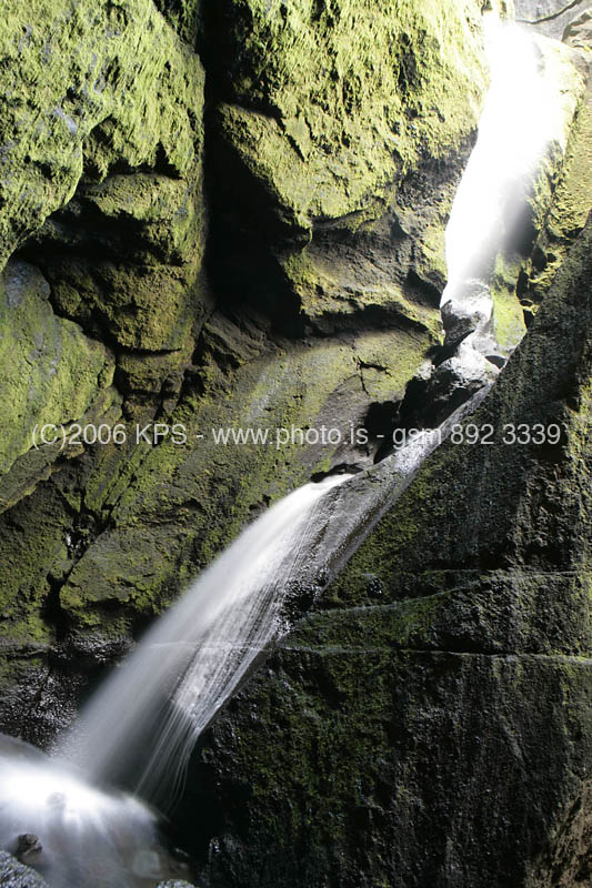 kps08061563
