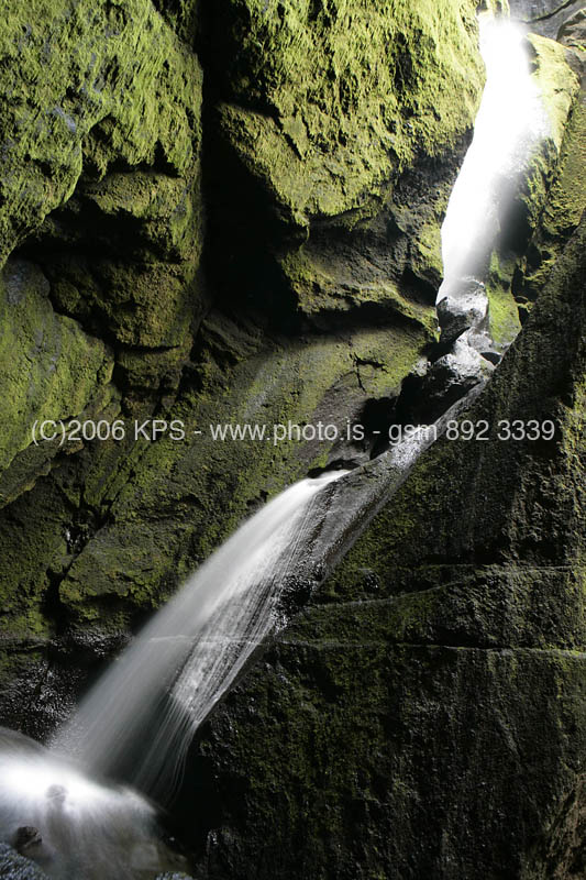 kps08061564