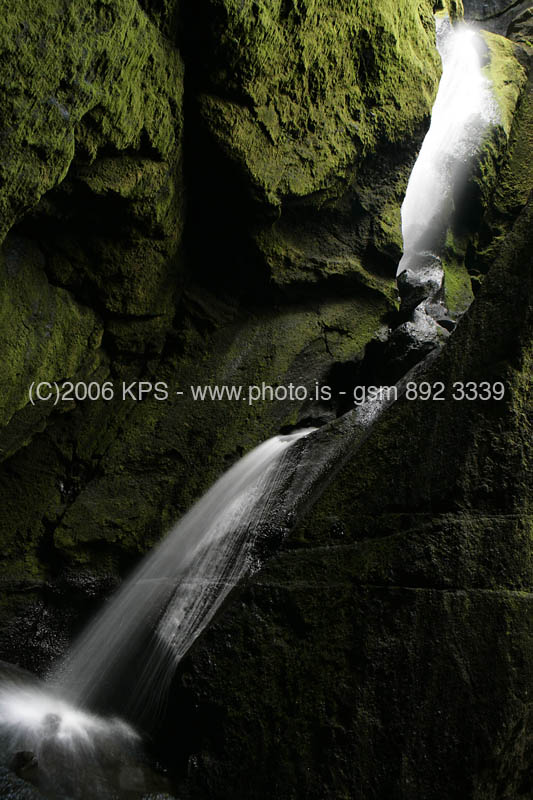kps08061565