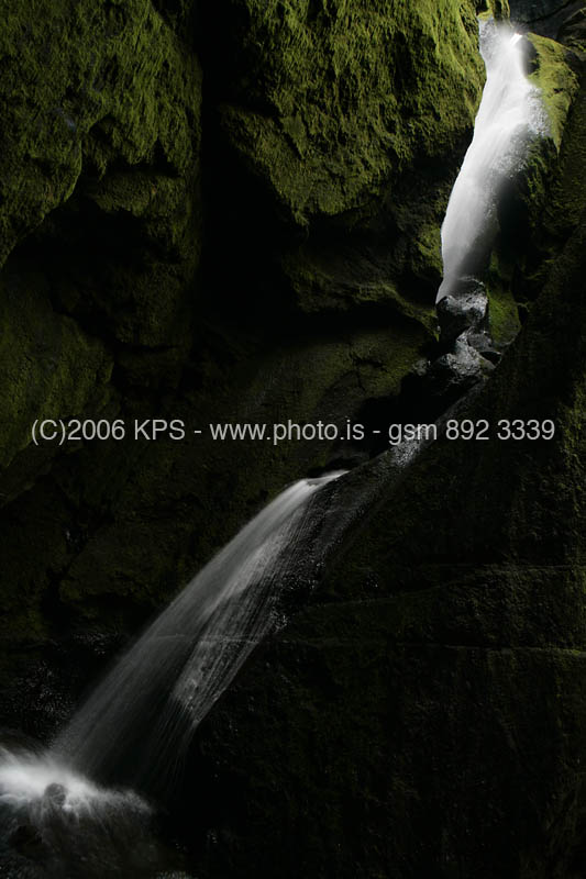 kps08061566