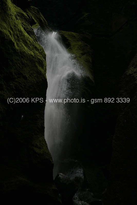 kps08061567