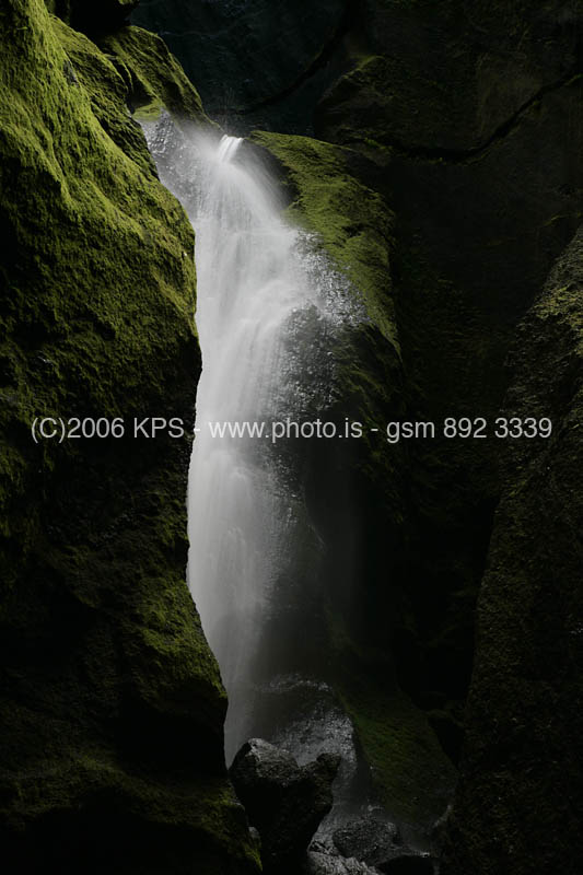 kps08061568