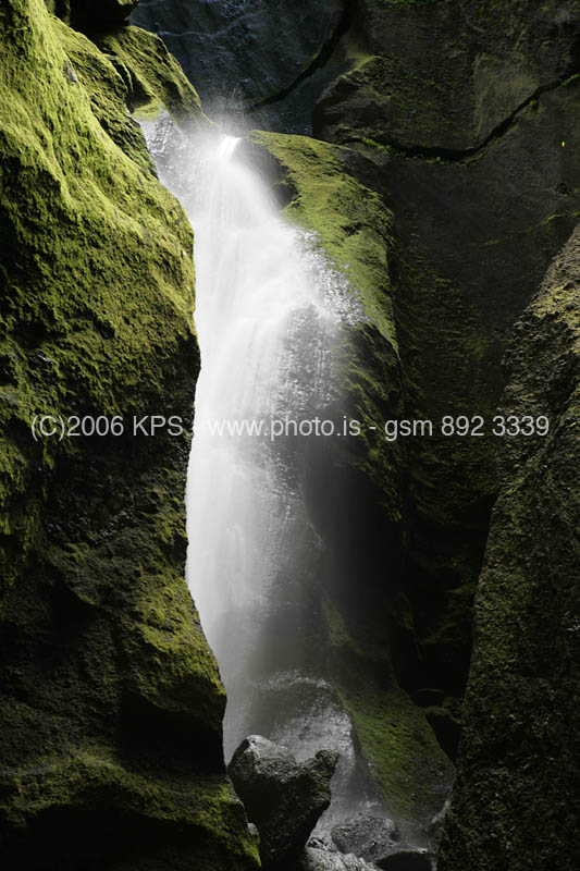 kps08061569
