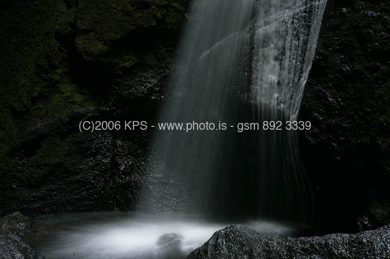 kps08061577