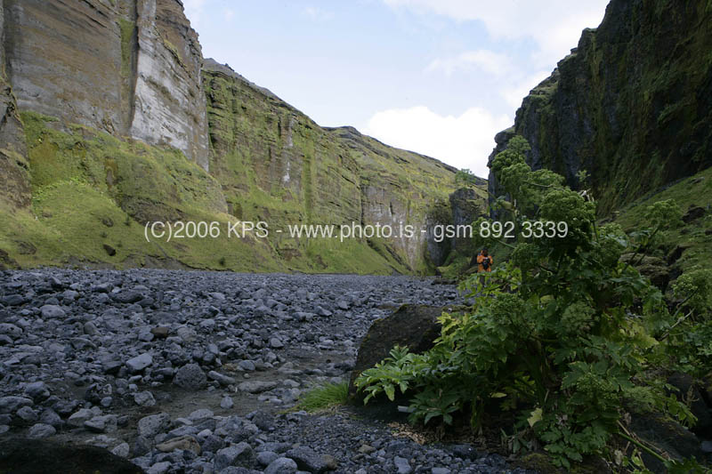 kps08061583