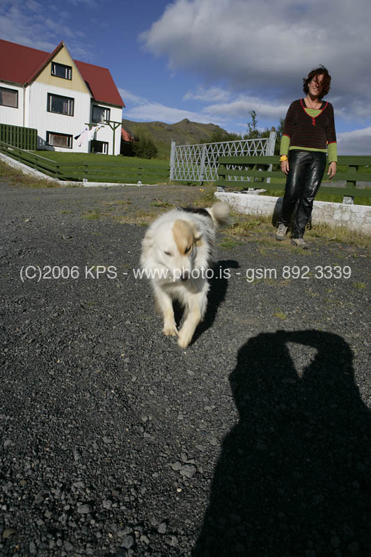 kps08061601