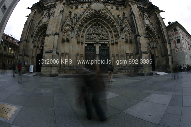 kps11060248