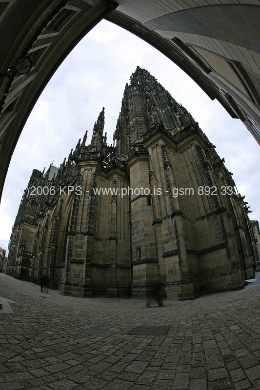 kps11060249