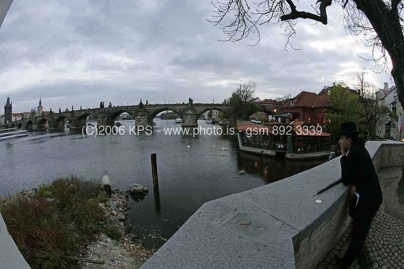 kps11060280