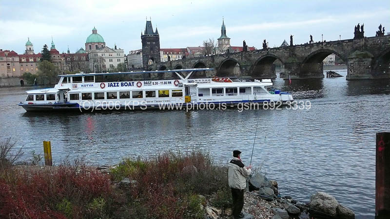 kps11060282