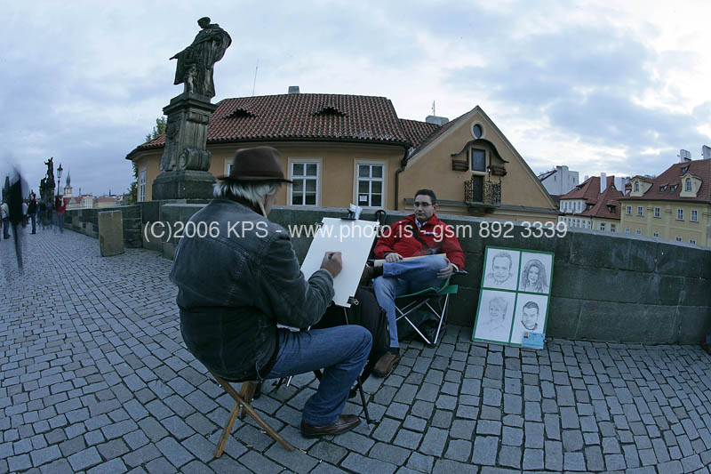 kps11060291