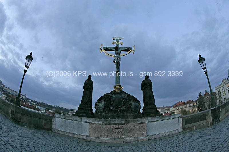 kps11060296
