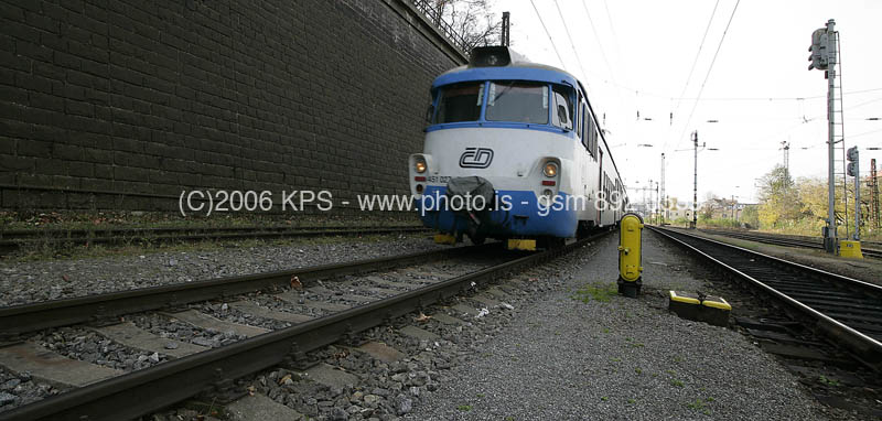 kps11060474