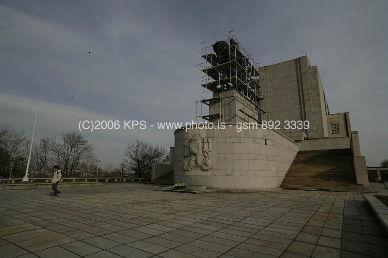 kps11060479